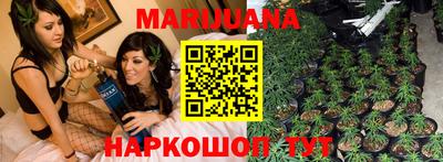 Альфа ПВП Можга