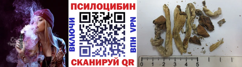 Галлюциногенные грибы ЛСД  купить  сайты  Вязники 