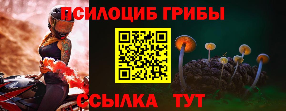 Галлюциногенные грибы Psilocybine cubensis  Вход с VPN  Вязники 